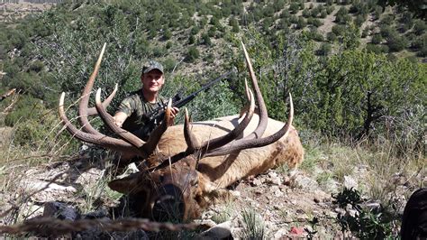 Unit 36 New Mexico Bull Elk Compass West Outfitters