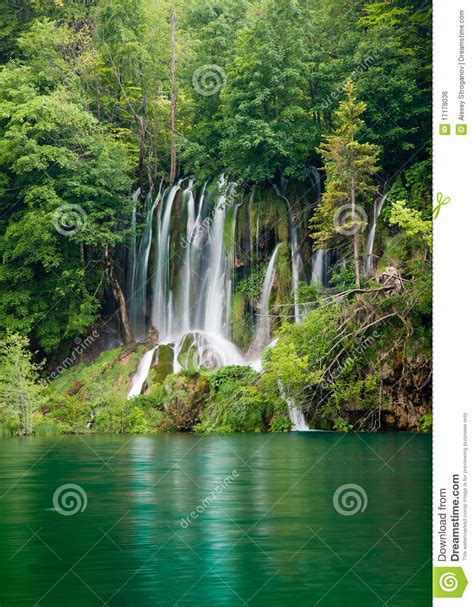 Beautiful Forest Waterfall Royalty Free Stock Image