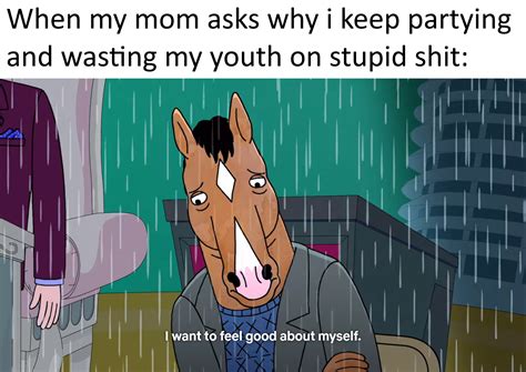 Making A Meme Out Of Every Episode Of Bojack Horseman S2 Ep8 R