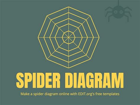 Create A Spider Diagram Online And Free