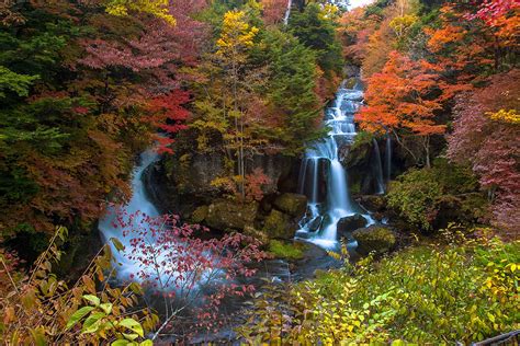The 10 Best Places To See Autumn Leaves In Japan