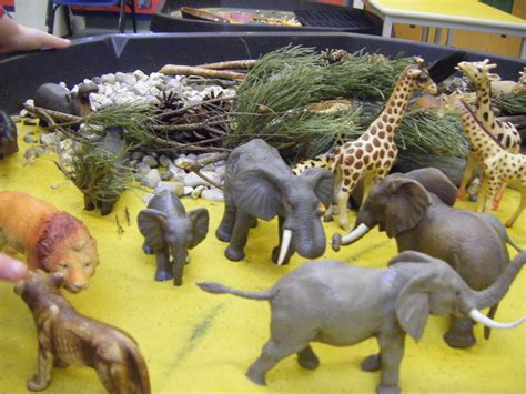 Wild Animals | Baby animals, Zoo animals, Animals wild