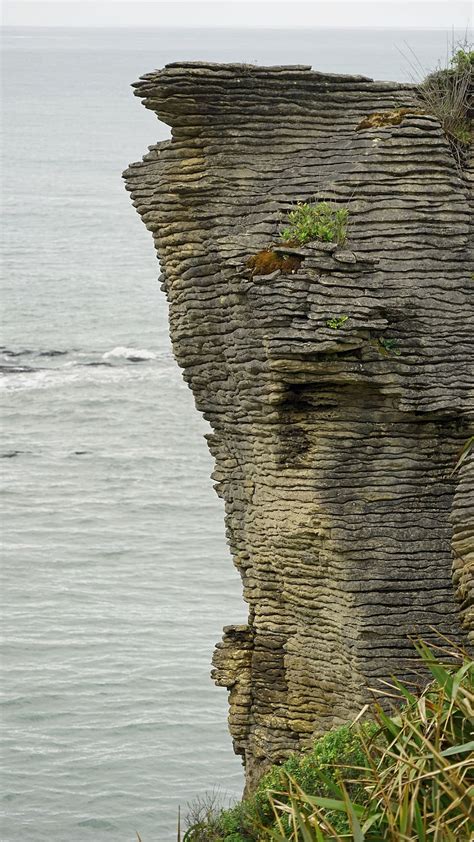 Hd Wallpaper Pancake Rocks New Zealand West Coast South Island