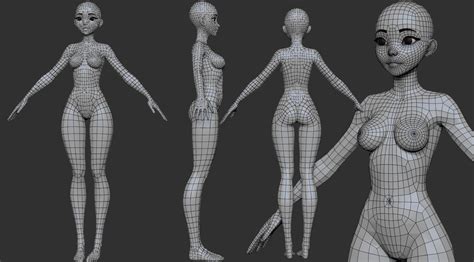 Pin By Su On D Refs Anime Female Base Female Base Character Modeling