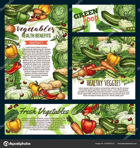 Vegetables And Green Veggies Farm Food Sketch Stock Vector Image By