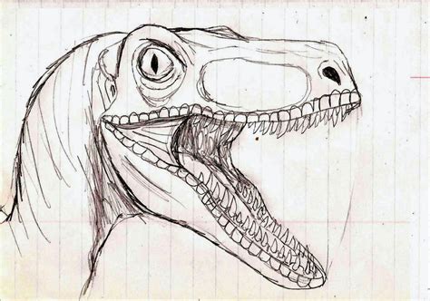 Jurassic Park Raptor By Trefrex On Deviantart