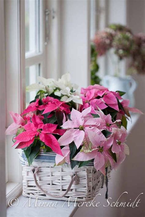 Pink Christmas Decorating Ideas All About Christmas