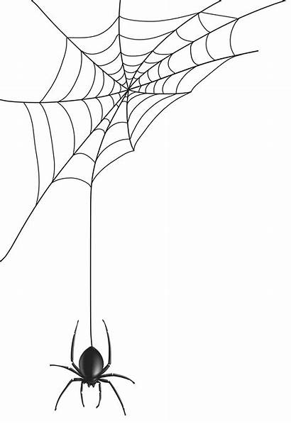 Spider Clip Halloween Clipart Transparent Drawing Yopriceville