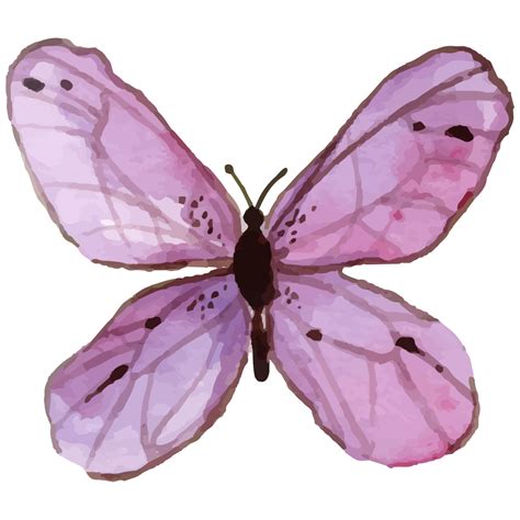 Purple Butterflies Png