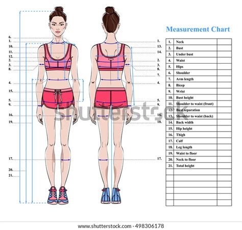 Woman Body Measurement Chart Scheme Measurement Stock Vector Royalty