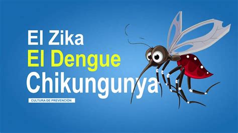 PrevenciÓn Contra El Dengue El Chikungunya Y El Zika Spot Grll Youtube