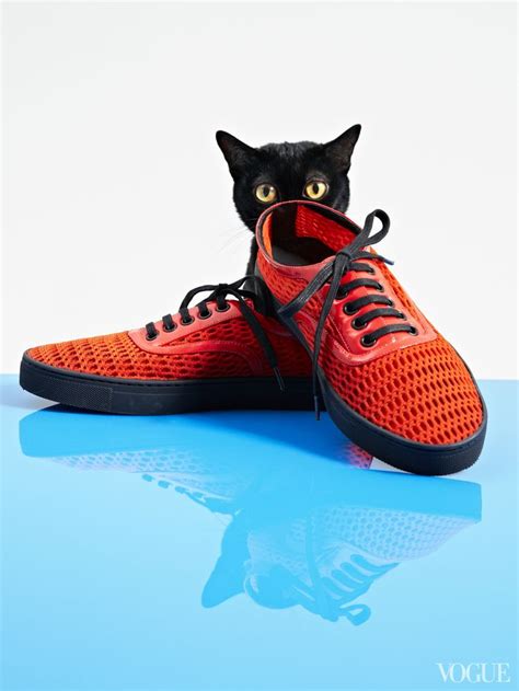 The Cat And The Flat Spring Shoes And Kittens Make The Perfect Pair