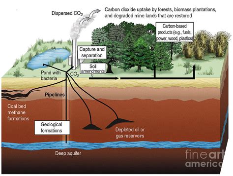 Carbon Dioxide Sequestration Photograph By Ornlscience Source Fine