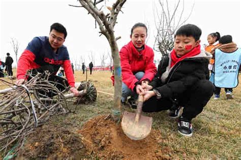 Online Tree Planting Campaign Popular In China