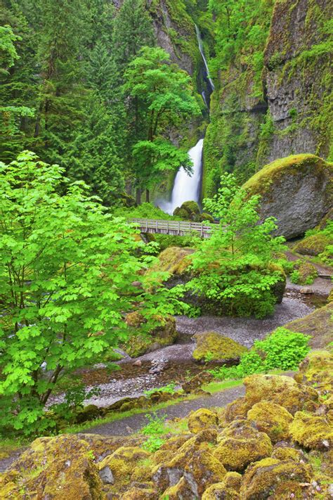 Tanner Creek Falls In Columbia River Gorge National Scenic Area In The