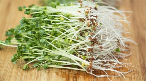 Easy Homemade Broccoli Sprouts Simple Cooking Guide