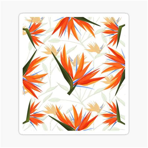 Strelitzia Flower Sticker For Sale By Africaskyblue Redbubble