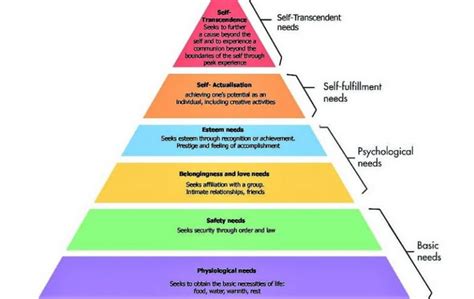 Pirámide De Maslow Qué Es En Qué Consiste Características Ejemplos