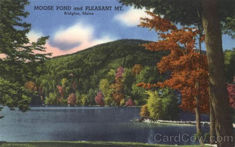 Moose Pond And Pleasant Mt Bridgton Me