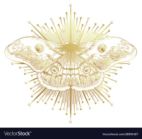 Golden Moth Over Sacred Geometry Sign Isolated Vector Image