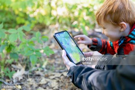 Poison Ivy Rash Child Photos And Premium High Res Pictures Getty Images