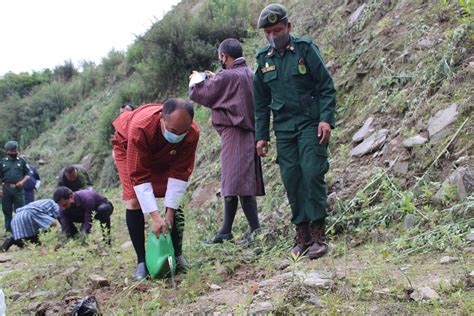 Trashi Yangtse Dzongkhag Celebrated Social Forestry Day Trashi