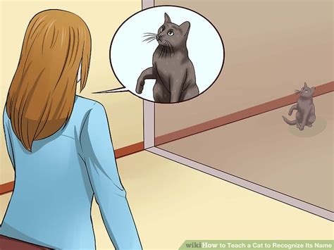 How To Teach A Cat To Recognize Its Name 9 Steps With Pictures