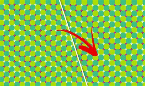 Now Optical Illusions Move Latest Mind Bending Image