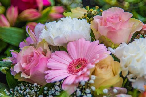 Blumen Blumenstrauß Schön · Kostenloses Foto Auf Pixabay