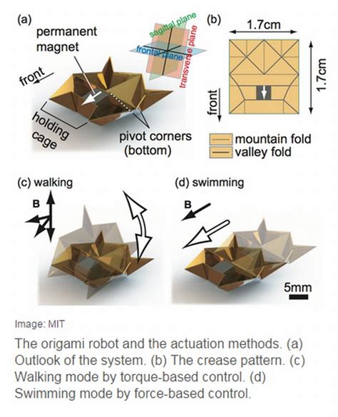 Origami Robot Fold Walks Swim And Degrades Autonomously Techietonics
