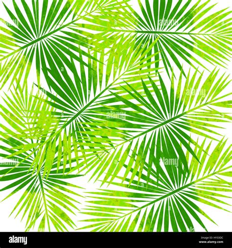 Watercolor Palm Leaves Square Background Stock Photo Alamy