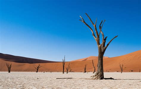 Namibia Pustynia Namib Ciekawostki Turystyczne Travel Around The World
