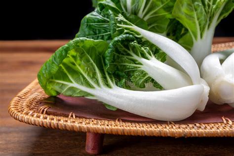 Young White Bok Choy Or Bak Choi Chinese Cabbage Stock Image Image Of