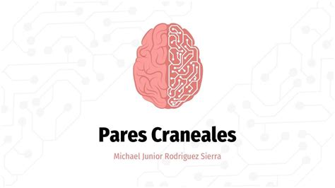 Pares Craneales Michael Rodriguez Udocz