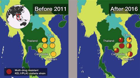 Multi Drug Resistant Malaria Spreading In Asia