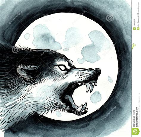 Lobo E A Lua Ilustração Stock Ilustração De Animal 114591658