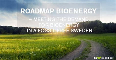 Twh Bioenergy By Svebio Publishes Its Roadmap Bioenergy