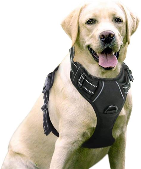 Best Dog Car Seat Belts And Harnesses Reviews Elite Car Seats