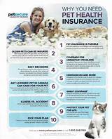 Pet Insurance Information