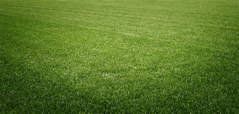 Premium Photo Soccer Field With Green Grass Sport Lawn Background