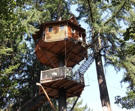 11 Best Treehouse Rentals In Oregon For A Unique Getaway