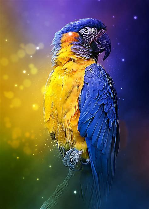 Hd Wallpaper Green Blue And Yellow Bird Macaw Beak Animal Parrot