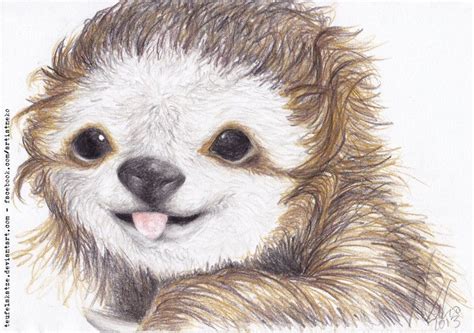 Cute Sloth Sloth Life Sloth Art Cute Sloth Animals And Pets Baby