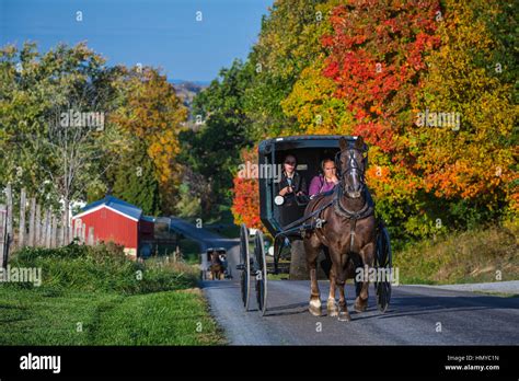 Amish Horse Buggy Fall Foliage Hi Res Stock Photography And Images Alamy