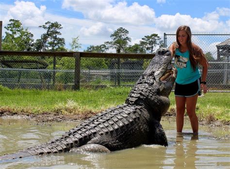 Texas Aandm Grad Has Jaw Dropping Photo Shoot With Alligator Abc News