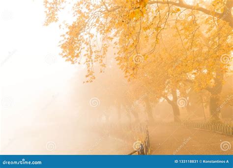 Fog Foggy Wheaher And Autumn Yellow Trees Colors In Ioannina Gr Stock