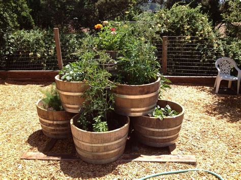 Building the vegetable garden base. 12 Best Wine Barrel Garden Ideas Gallery - Wooden Garden ...