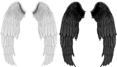 Download Transparent Background Black Angel Wings Png Png And  Base