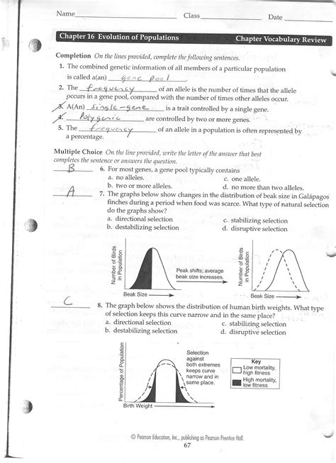 Describes how natural selection changes allele frequency. Natural Selection Gizmo Worksheet Answers + mvphip Answer Key
