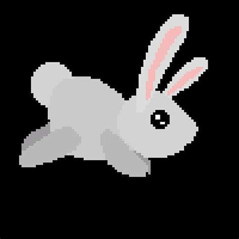 Crazy Bunny By Enjoyce